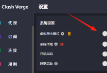 Clash Verge代理工具的高级设置与优化技巧-软件资源分享站
